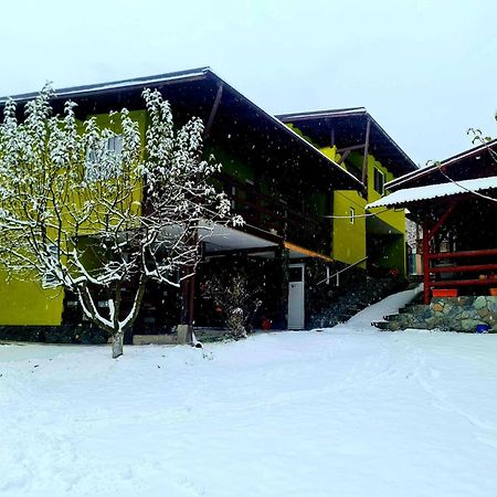Vila Giulia Voineasa Exteriör bild