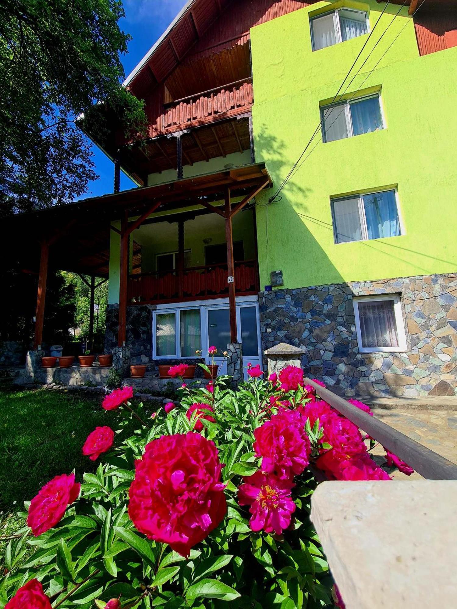 Vila Giulia Voineasa Exteriör bild