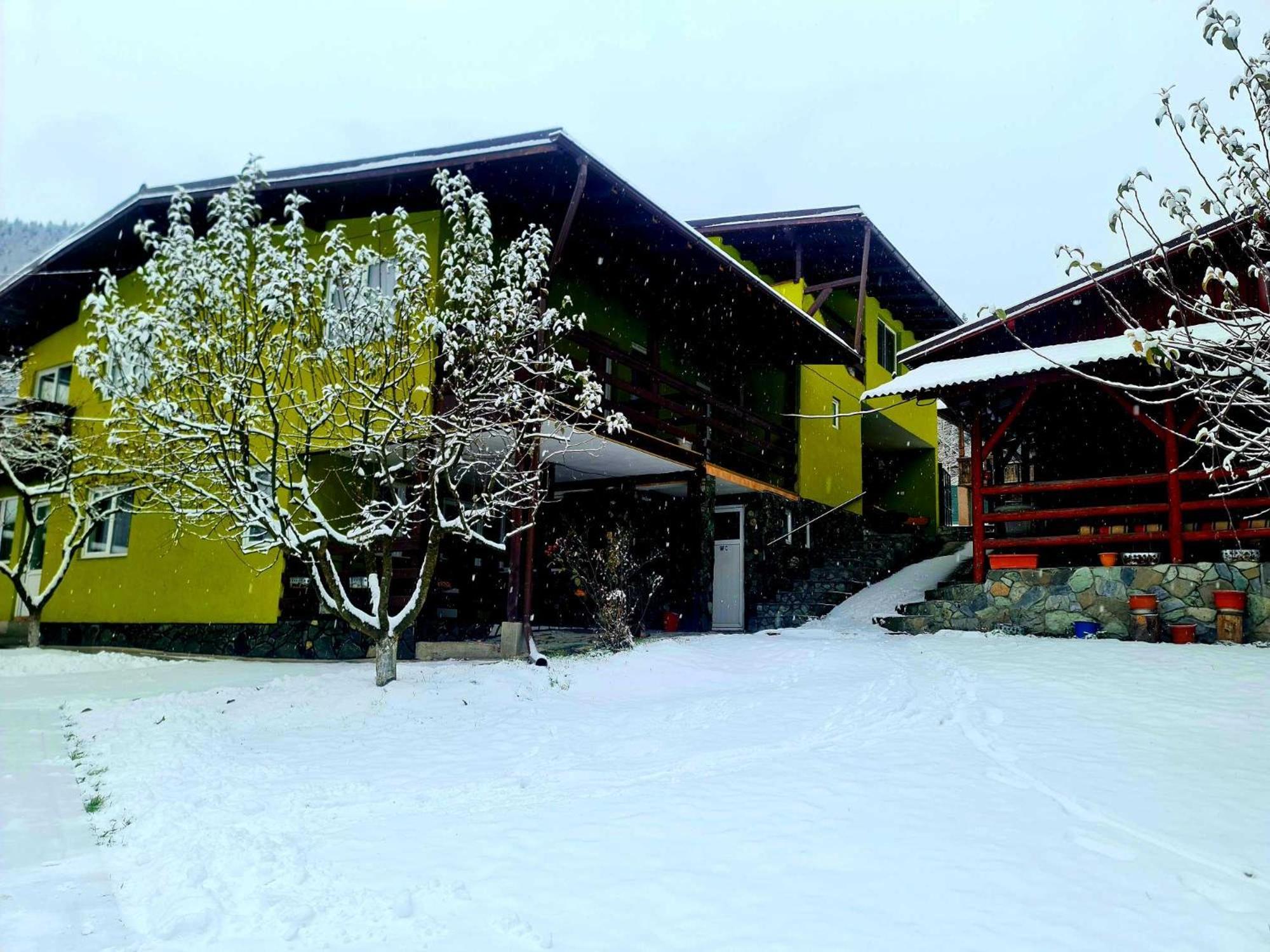 Vila Giulia Voineasa Exteriör bild